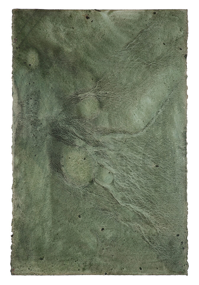 bure papel 12.jpg